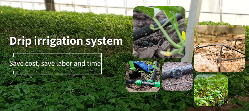 Smart irrigation system