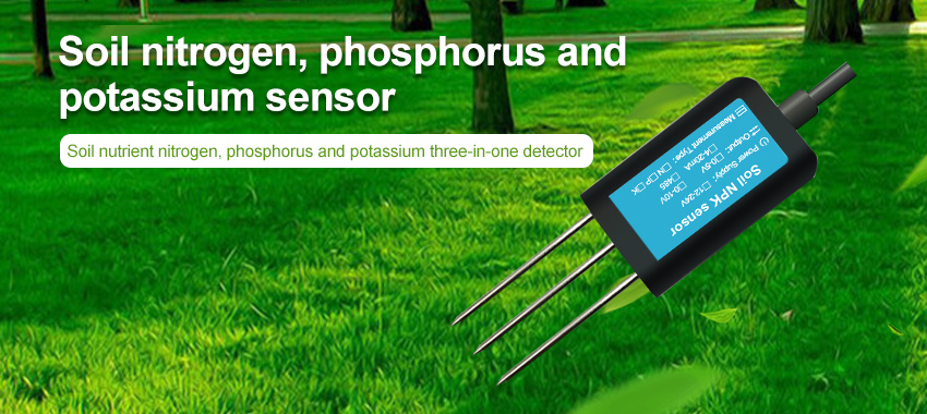 soil moisture