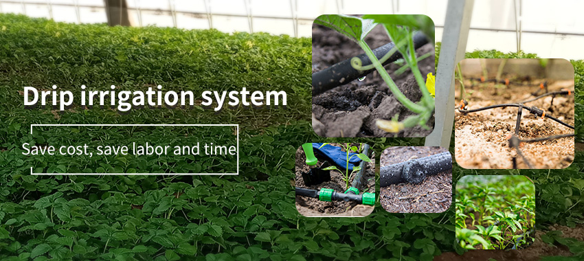 Smart irrigation